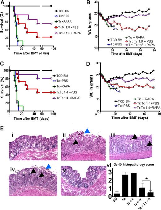 Figure 1. Combined rapamycin/Treg treatment had a synergistic protective effect against aGvHD. BALB/c mice were injected with 5 × 106 TCD-BM cells alone (●) or together with 1.6 × 106 CD4+/CD8+ (1:4) T cells and Tregs when indicated (both H-2kq) after lethal irradiation at 800 cGy. (A) Percentage survival of animals receiving conventional T cells (Tconv) + PBS (△, n = 10), T cells and rapamycin (RAPA) 0.5 mg/kg (*, n = 10), Treg:Tconv (1:8) + PBS (□, n = 10), or Treg:Tconv (1:8) + RAPA (○, n = 10). The combination of Tregs with RAPA compared with Tregs with PBS improves survival (○ versus □, P = .003). Survival data from 2 independent experiments are combined. (B) Weight change of animals in the different groups. Animals receiving Treg:Tconv (1:8) in combination with RAPA compared with PBS experience less-pronounced weight loss and recover to their baseline weight. (C) Survival of animals receiving conventional T cells (Tconv) only (△, n = 10), Tconv and RAPA 0.5 mg/kg (*, n = 10), Treg:Tconv (1:4) + PBS (□, n = 10), or Treg:Tconv (1:4) + RAPA (○, n = 10). The combination of Tregs with RAPA compared with Tregs with PBS improves survival (○ versus □, P = .007). Survival data from 2 independent experiments are combined. (D) Animals receiving Treg:Tconv (1:4) in combination with RAPA compared with PBS experience less weight loss after transplantation. (E) Twelve days after transplantation, 5 mice from each group were killed and samples of liver, small bowel, and large bowel were analyzed for evidence of pathologic damage. Hematoxylin and eosin stains of colon tissue obtained from these mice are shown. Tissue section from the colon of mice receiving TCD-BM (i), with Tconv (ii), Tconv and RAPA (0.5 mg/kg) (iii), Treg:Tconv (1:8) + PBS (iv), Treg:Tconv (1:8) + RAPA (v). Colon tissue from TCD-BM (i) and Treg:Tconv (1:8) + RAPA (v) displays intact crypts with goblet cells. The other groups have crypt abscesses (black arrows), sloughing of the colonic mucosa (blue arrows), destruction of the crypt, and loss of goblet cells. (vi) Cumulative GVHD histopathology scoring for large bowel, small bowel, and livers of animals from the indicated groups, *P < .05.