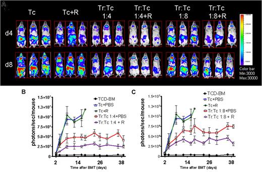 Figure 2. RAPA/Tregs protected from aGVHD by reducing alloreactive T-cell expansion in vivo. (A) Single timepoints showing the expansion of luciferase transgenic (luc+) donor T cells in 3 representative BALB/c mice (of 10 animals per group) receiving T cells in combination with Tregs at different ratios (1:4 and 1:8) combined with RAPA as indicated. T-cell expansion is significantly reduced when Tregs are combined with RAPA (column 3 vs 4 and 5 vs 6 from the left). (B) Expansion of luciferase-labeled T cells as quantified in emitted photons over total body area at serial timepoints after BMT. BLI signal intensity of mice receiving TCD-BM (●, n = 10), with T cells (△, n = 15), T cells and RAPA 0.5 mg/kg (*, n = 10), Treg:T cells (1:4) + PBS (□, n = 12) Treg:T cells (1:4) + RAPA (○, n = 12). Signal intensity is significantly higher in animals receiving Treg:T cells (1:4) + PBS compared with Treg:T cells (1:4) + RAPA (□ vs ○, P < .05). (C) BLI signal intensity of mice receiving TCD-BM (●, n = 10), with T cells (△, n = 15), T cells and RAPA 0.5 mg/kg (*, n = 10), Treg:T cells (1:8) + PBS (□, n = 12) Treg:T cells (1:9) + RAPA (○, n = 12). Signal intensity was significantly higher in animals receiving Treg:T cells (1:8) + PBS compared with Treg:T cells (1:8) + RAPA (□ vs ○, P < .05).