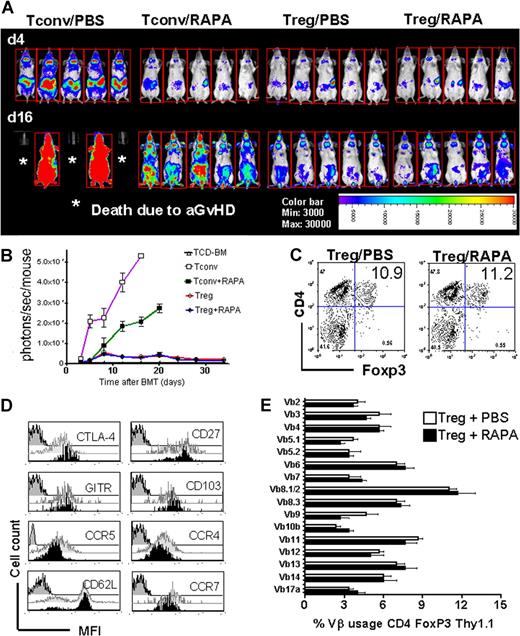 Figure 4. RAPA allows for polyclonal Treg expansion in vivo. (A) Expansion of luc+ Tconv (CD4+CD25−) or luc+ Tregs as shown for 5 representative animals of each group in the presence or absence of RAPA (1.5 mg/kg) on days 4 and 16 after BMT (C57BL/6 → BALB/c). Addition of RAPA reduces the expansion of luc+ Tconv (first vs second column of 5 animals from left), whereas expansion of luc+ Tregs is not significantly affected (third vs fourth column of 5 animals from left). (B) Expansion of luciferase-labeled T cells as quantified in emitted photons over total body area at serial timepoints after BMT. BLI signal intensity of mice receiving TCD-BM (△, n = 10), with luc+ T cells with PBS (□, n = 10) or RAPA 1.5 mg/kg (■, n = 10), luc+ Treg with PBS (○, n = 10) or RAPA 1.5 mg/kg (●, n = 10). Signal intensity is significantly higher in animals receiving T cells + PBS compared with T cells + RAPA (□ vs ■, * P < .05). (C) Frequency of splenic CD4+FoxP+ T cells on day 5 after transplantation is not different when PBS compared with RAPA is given in vivo. One representative FACS analysis of 3 independent experiments is shown. (D) BALB/c mice were given 5 × 106 TCD-BM together with 5 × 105 Tregs (C57BL/6) after lethal irradiation with 800 cGy and were injected with PBS or RAPA (1.5 mg/kg) daily. Expression of the indicated markers on splenic Thy1.1+CD4+CD25+ on day 5 after transplantation is shown. Black histogram, recipient received Treg + PBS. Light gray histogram, Treg + RAPA. Dark gray histogram, Isotype control Ab. (E) TCR Vβ usage of Thy1.1+CD4+CD25+ on day 30 after transplantation in BALB/c recipients is shown.