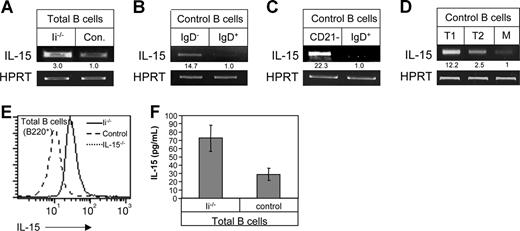 Figure 1. Immature B cells produce and secrete higher levels of IL-15 compared with mature cells. (A-D) RT-PCR analysis. (A) Total B cells (B220+) from Ii−/− (immature) or control mice (mature). (B) Purified immature (IgD− B220+) and mature (IgD+) cells from control mice. (C) Purified immature (CD21− B220+) and mature (IgD+) B cells derived from control mice. (D) T1, T2, and mature B cells were purified as described in “Separation of B cells.” Total RNA was isolated, and reverse transcription using primers for IL-15 and HPRT was carried out using Superscript II RT. The results presented are representative of 3 different experiments. (E) Intracellular IL-15 expression. Total lymphocytes from control (mature), Ii−/− (immature), and IL-15−/− mice were stained for B220 marker and analyzed for IL-15 protein levels by intracellular staining as described in “Intracellular staining.” Histograms show IL-15 expression in B220+ cells. (F) IL-15 secretion. Total B cells (B220+) from Ii−/− (immature) or control mice (mature) were incubated overnight at 37°C, and IL-15 levels in the conditioned medium derived from both populations were analyzed by ELISA. The results presented are representative of 3 separate experiments. Data shown represent means (± SE).