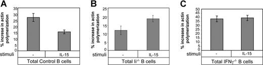 Figure 3. IL-15 inhibits the migration of immature B cells in an IFN-γ–dependent manner. (A-C) Total B cells from control (mature; A) Ii−/− (immature; B) or IFN-γ−/− (C) mice were suspended in 1 mL RPMI plus 10% FCS and incubated for 1 hour in the presence or absence of IL-15 (30 ng/mL); their actin polymerization was analyzed as described in “Cytoskeleton rearrangement.” The results are representative of 3 separate experiments. Error bars represent SD.
