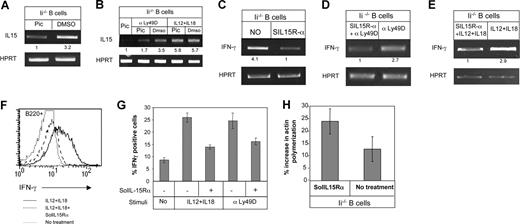 Figure 7. IFN-γ induction is IL15 dependent. (A) Total B cells from Ii−/− (immature) mice were incubated in the presence or absence of 120 μM of Syk inhibitor (piceatannol; pic) or with 6 μL of DMSO for 3 hours, and RT-PCR was carried out using primers for IL-15 and HPRT. (B) Total B cells from Ii−/− (immature) were incubated in the presence or absence of piceatannol (120 μM) or 6 μL of DMSO with or without IL-12 (20 ng/mL), IL-18 (200 ng/mL), and anti-Ly49D for 3 hours. RT-PCR was carried out using primers for IL-15 and HPRT. (C) Total B cells from Ii−/− (immature) mice were incubated in the presence or absence of 1 μg/mL of the IL-15 inhibitor SolIL-15Rα overnight, and RT-PCR was carried out using primers for IFN-γ and HPRT. (D,E) Total B cells from Ii−/− (immature) were incubated in the presence or absence of 1 μg/mL of SolIL-15Rα overnight with or without anti-Ly49D (D), or IL-12 (20 ng/mL; E) and IL-18 (200 ng/mL; E). RT-PCR was carried out using primers for IFN-γ and HPRT. (F) Total lymphocytes from Ii−/− mice (immature) were incubated overnight in the presence or absence of IL-12 (20 ng/mL) and IL-18 (200 ng/mL) in the presence or absence of SolIL-15Rα. The cells were then stained with anti-B220, and IFN-γ protein levels were analyzed by intracellular staining. Histograms show IFN-γ expression in B220+ cells. (G) Graph showing the fold increase in IFN-γ+ cells following the various treatments minus the background of the isotype control. (H) Total B cells from Ii−/− mice (immature) were incubated in the presence or absence of SolIL-15Rα (1 μg/mL) overnight. Their actin polymerization was analyzed as described in “Cytoskeleton rearrangement.” The results presented are representative of 3 separate experiments. Error bars represent SD.