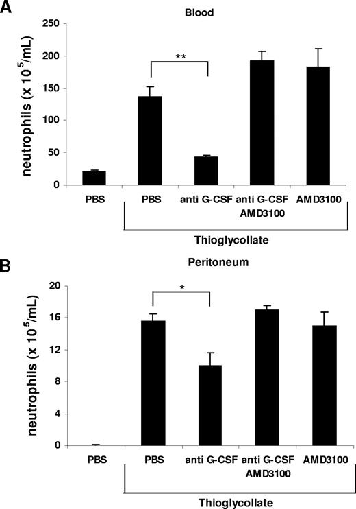 Figure 7. Inhibition of neutrophil mobilization by blockade of G-CSF is abrogated by administration of AMD3100. Anti–G-CSF–blocking antibody (150 μg) and AMD3100 (100 μg) alone or in combination were administered intraperitoneally 20 minutes before intraperitoneal injection of 3% TG. The number of neutrophils per milliliter of blood (A) and the number of neutrophils per milliliter of peritoneal lavage fluid (B) were determined 2 hours following TG injection. Results are expressed as means plus or minus SEM (n = 3). *P < .05; **P < .005 (1-way ANOVA and Dunnett test).