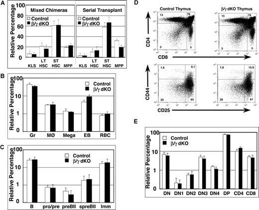 Figure 2. Simultaneous lack of β- and γ-catenin in HSCs of mixed BM chimeras and serial transplants does not affect their repopulation capacity, nor does it influence B- or T-cell development. (A) Mixed BM chimeras were analyzed between 6 and 26 weeks after reconstitution with a 1:2 mixture of CD45.1+ and either control or β/γ dko CD45.2+ BM cells (left panel). BM cells from primary chimeric mice of either control or β/γ dko were serially transplanted into CD45.1+ recipients and analyzed at 12 and 24 weeks after reconstitution (right panel). Percentages of CD45.2+ KLS (CD117+lin−Sca1+), LT-HSCs (CD117+lin−Sca1+CD34−CD135−), ST-HSCs (CD117+lin−Sca1+CD34+CD135−), and MPPs (CD117+lin−Sca1+CD34+CD135+) from either control (□) or β/γ dko (■) mixed BM chimeras (n = 6 for control and n = 7 for β/γ dko) and the serial transplants (n = 5 for control and n = 5 for β/γ dko) are shown. (B) Percentages of myeloid lineages, including granulocytes (Gr; Gr1+Mac1+), macrophages (MØ; Gr1−Mac1+), megakaryocytes (Mega; CD41+), early erythroblasts (EB; Ter119+CD71+), and red blood cells (RBC; Ter119+CD71−) gated on CD45.2+ donor-derived cells derived from either control (□) or β/γ dko (■) mixed BM chimeras (n = 6 for control and n = 7 for β/γ dko). (C) Percentages of BM-derived B-cell subsets, including total BM B cells (B220+), pro-/pre-B cells (B220+CD43+BP1−), large pre-BII cells (preBII; B220+CD43+BP1+), small pre-BII cells (spreBII; B220+CD43−BP1+IgM−), and immature B cells (Imm; B220+CD43−BP1−IgM+), gated on CD45.2+ donor-derived cells derived from either control (□) or β/γ dko (■) mixed BM chimeras (n = 6 for control and n = 7 for β/γ dko). (D) Representative FACS analysis of CD45.2+ total thymocytes stained with anti-CD4 and anti-CD8 antibodies (top row), or with anti-CD44 and anti-CD25 antibodies (bottom row) after gating on Lin− cells (and excluding CD44+CD117− cells) derived from control and β/γ dko mixed chimeras. (E) Bar graphs represent relative percentages of CD45.2+ thymocyte subsets; DN (double negative; CD4−CD8−TCRβ−), DN1 (CD117+CD44+CD25−), DN2 (CD117+CD44+CD25+), DN3 (CD44−CD25+), DN4 (CD44−CD25−), DP (double positive; CD4+CD8+), CD4 (CD4+CD8−), and CD8 (CD4−CD8+) derived from control (□) and β/γ dko (■) mixed chimeras (n = 6 for control and n = 7 for β/γ dko). The error bars represent mean (± SD) in panels A, B, C, and E. No statistically significant differences (P values ranged between .06 and .89) were observed between control and β/γ dko chimeras in all populations analyzed.
