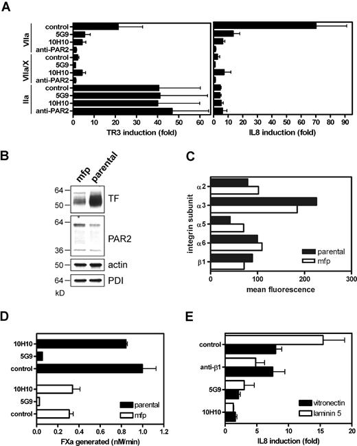 Figure 2. Inhibition of proteolytic PAR2 signaling by anti-TF antibodies on MDA-MB-231 human breast cancer cells. (A) Mab-10H10 and Mab-5G9 inhibit TF-VIIa signaling in MDA-MB-231 cells. Cells were preincubated for 15 minutes with 50 μg/mL Mab-10H10 or Mab-5G9 or 100 μg/mL polyclonal PAR2-cleavage-blocking antibody, followed by addition of 10 nmol/L VIIa, ternary complex (0.5 nmol/L VIIa, 100 nmol/L X, and 200 nmol/L NAPc2) or 10 nmol/L thrombin (IIa). TR3 and IL-8 mRNA induction over control after 90 minutes was determined by quantitative PCR. (B) TF and PAR2 expression in parental MDA-MB-231 and MDA-MD-231mfp cells by Western blotting using polyclonal anti-TF and anti-PAR2 with loading controls of abundant cellular proteins, PDI and actin. (C) Comparative FACS analysis for integrin expression by parental and mfp MDA-MB-231 cells. Averages for 2 experiments are shown. (D) Comparison of Xa generation by parental and mfp cells on monolayers seeded at equal cell density. (E) Matrix-dependent TF-VIIa signaling. MDA-MB-231mfp cells were grown on vitronectin or laminin 5-containing matrix. Cells were pretreated with 50 μg/mL anti-β1 AIIB2, Mab-5G9, or Mab-10H10 for 15 minutes before stimulation with VIIa (10 nmol/L) for 90 minutes.