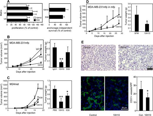 Figure 6. TF-VIIa signaling promotes tumor growth. (A) Mab-10H10 does not influence proliferation on different matrices. MDA-MB-231mfp cells were grown on collagen I, laminin 5, or vitronectin and treated with Mab-10H10 or Mab-5G9 (left graph). Cells were also plated in 0.5% methylcellulose for anchorage-independent cell growth (right graph). Proliferation was determined using an MTT assay, and anchorage-independent survival was quantified by cell counts. Values are expressed as percentage of control cells. (B) MDA-MB-231mfp subcutaneous tumor growth in the presence of 1 mg of control IgG1 (TIB115), Mab-5G9, or Mab-10H10 coinjected to achieve high local antibody concentrations in the flanks of SCID mice. Tumor weights were determined at sacrifice (n = 6, 2-sided ANOVA, Kruskal-Wallis; **P < .001). (C) Tumor growth of M24met melanoma cells injected subcutaneously without or with 1 mg of Mab-5G9 or Mab-10H10 (n = 8, 2-sided ANOVA, Kruskal-Wallis; **P < .001; *P < .01). (D) MDA-MB-231mfp tumor growth is inhibited in the mammary fat pad by treatment with 1 mg of coinjected Mab-10H10; SFM denotes serum-free medium control (n = 6, *P < .01). (E) Results of histologic examination of orthotopic MDA-MB-231mfp tumors grown in the presence or absence of Mab-10H10. Hematoxylin and eosin and CD31 staining of 5-μm frozen sections are shown. CD31 positive vessels were quantified, *, difference in vessel density between groups, t test, P < .005.