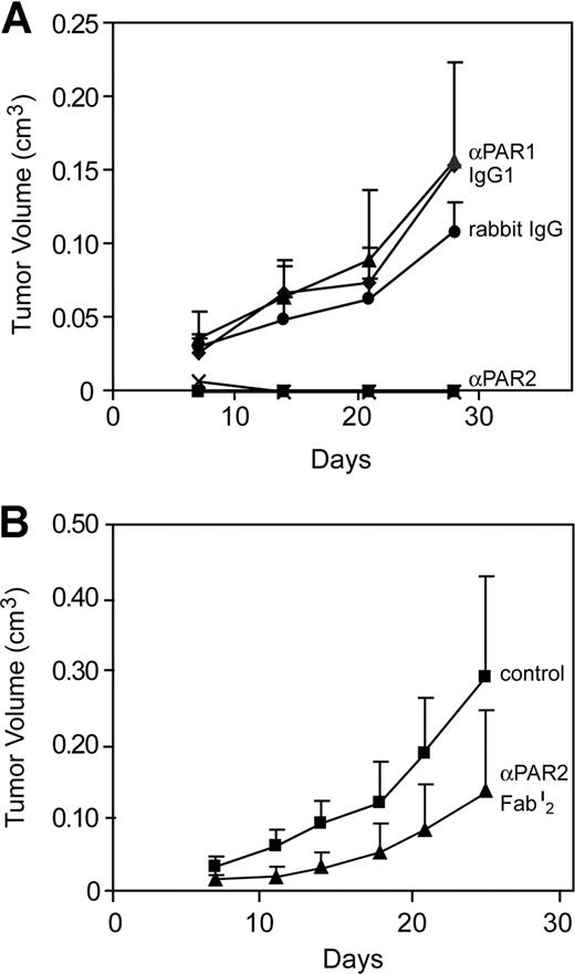 Figure 7. Antibody inhibition of PAR2 but not PAR1 cleavage attenuated human breast cancer growth. (A) MDA-MD 231mfp cells were injected subcutaneously with 1 mg of rabbit anti-PAR2 polyclonal antibody, preimmune rabbit IgG, anti-PAR1 monoclonal antibody ATAP2 or murine IgG1 control (TIB115). A composite of 2 independent experiments is shown. Tumor volumes of anti-PAR2-treated groups were significantly different from all other groups by ANOVA, followed by Kruskal- Wallis, P < .001. (B) Inhibition of tumor growth in the absence of Fc-mediated killing is demonstrated by injecting tumor cells in the presence of 1 mg of anti-PAR2 Fab′2 fragment. The preparation of these experiments inhibited TF-VIIa-mediated activation of human PAR2 by more than 95%, but mouse PAR2 only marginally (<50%). Final tumor volumes were different at P < .05, t test.