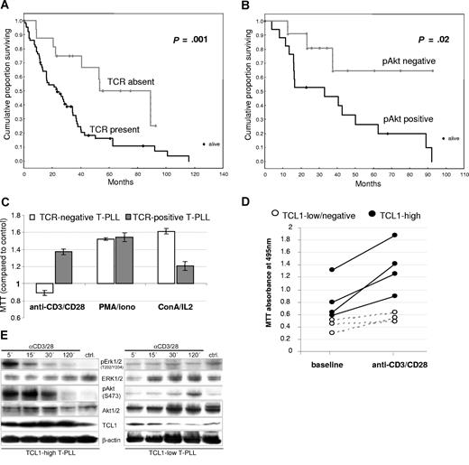 Figure 2. The T-cell receptor signaling pathway is functional in T-PLL and responses are influenced by TCL1 levels. (A) Detection of surface T-cell receptor (sTCR) in T-PLL cells by flow cytometry for sCD3 and TCRα/β (67/82 sTCR+ versus 15/82 sTCR− cases) correlated with shorter overall survival (OS). (B) Expression of the Ser473-phosphorylated activated form of AKT, as analyzed by Western blot, also significantly correlated with poor OS. (C) TCR engagement stimulated growth in T-PLL tumor cells only in cases expressing sTCR, whereas ConA/IL2 or PMA/ionomycin stimulated growth in nearly all cases (MTT assay values normalized to unstimulated control). (D) In sTCR+ T-PLL, the degree of growth induction by TCR engagement (MTT assay) was higher in those tumors that strongly expressed TCL1 (solid dots) compared with TCL1-low/negative tumors (white circles). (E) Western blot analysis reveals that T-PLL with higher TCL1 levels was associated with a faster induction of pERK1/2 and activated AKT (left versus right panels).