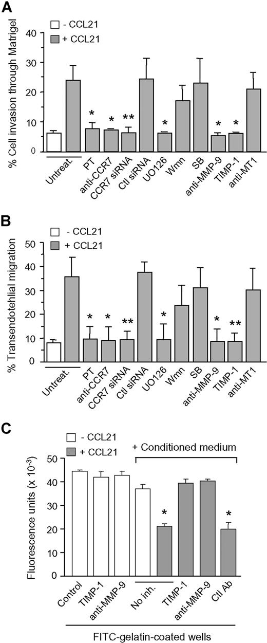 Figure 2. Role of MMP-9 in CCL21/CCR7-driven B-CLL cell migration. B-CLL cells with or without previous incubation with the indicated inhibitors or transfected with siRNAs were added to Transwell filters coated with Matrigel (A) or HUVEC (B). CCL21 (1000 ng/mL) was added to the medium in the bottom chamber, except for the control. After 24 hours, migrated cells were counted by flow cytometry. Values represent the percentage of total cells added. (C) The conditioned media of untreated or CCL21-treated B-CLL cells was added to FITC-gelatin-coated wells in the presence or absence of the indicated inhibitors (TIMP-1, 5 nmol/L; Abs, 10 μg/mL). TIMP-1 or anti-MMP-9 Ab alone were also added to the wells. After 24 hours, the fluorescence was quantitated. Values are the average of 2 different patients with duplicate determinations. *P ≤ .05; **P ≤ .01.