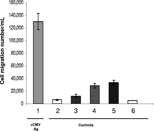 Figure 2. Factors present in supernatants from antigen-stimulated CMV-seropositive donor PBMCs support chemoattraction of PBMCs. Results are shown for transmigrated populations from cell migration assays with coculture supernatants representative of a CMV-seropositive donor and -seronegative donor. PBMCs were loaded into the upper chambers of transwells to test migration into coculture supernatants as described in “Transwell migration assays and specific antibody neutralization assays.” Sample 1 was CMV-seropositive donor PBMCs + AECs + CMV antigen, 2 was CMV-seropositive donor PBMCs + AECs, 3 was CMV-seronegative donor PBMCs + AECs + CMV antigen, 4 was CMV-seronegative donor PBMCs + AECs, 5 was AEC cultures, resting, and sample 6 was RPMI/1% FCS. For each sample, 3 transmigration wells were set up, and the transmigrated populations were counted from each well independently. Results are shown as the mean (± SD) in cells per milliliter and are representative of 3 independent assays with different CMV-seropositive and -seronegative donor pairs compared in each.