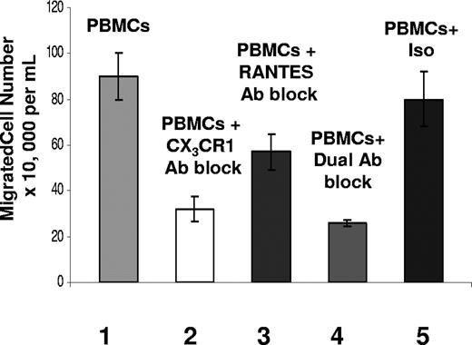 Figure 3. Fractalkine has the greatest effect on chemoattraction. Transwell migration assay results after 3 hours, showing total cell numbers of PBMC populations migrating in response to chemokines present in coculture supernatants from the CMV antigen-stimulated CD4+ T cells with endothelial monolayer samples. Sample sets on x-axis are as follows. Sample set 1 was total cell numbers of PBMC populations transmigrating in response to untreated coculture supernatants; sample set 2 was PBMCs treated with anti–human CX3CR1 antibody transmigrating in response to coculture supernatants; sample set 3 was PBMCs transmigrating in response to coculture supernatants treated with anti–human RANTES antibody; sample set 4 was PBMCs treated with anti–human CX3CR1 antibody and anti–human RANTES antibody; and sample set 5 was PBMCs treated with isotype antibodies rabbit IgG and mouse IgG. Each sample represents the results from 3 replicate transwell migrations in which the transmigrated populations were counted from each well independently. Results are shown as the mean (± SD) and are representative of 5 assays with different seropositive donors.