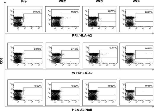 Figure 1. CD8+ T-cell response to PR1 and WT1 vaccination by peptide/HLA-A2 tetramer analysis. Tetramer analysis of PBMCs was performed by 5-color flow cytometry. Longitudinal data from patient 8 are presented. PR1/HLA-A*0201+ and WT1/HLA-A*0201+ CD8+ T cells were gated on CD3+ events after passing through a small lymphocyte gate; HLA-A2–null tetramer was used similarly as a negative control.