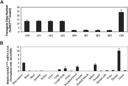 Figure 1. Detection of JAK2V617F expression in transgenic mice. (A) JAK2V617F copy numbers were determined by real-time PCR assays of genomic DNAs from founder (F0), F1, F3, and F5 generations of A, B, and C line transgenic mice. Data represent ratios of human JAK2V617F and mouse Jak2 (mean ± SD, n ≥ 6). (B) Real-time PCR assays of JAK2V617F mRNA expression in the indicated tissues of line A transgenic mice. Data represent relative mRNA levels (mean ± SD, n ≥ 3) normalized to mouse GAPDH in arbitrary units.