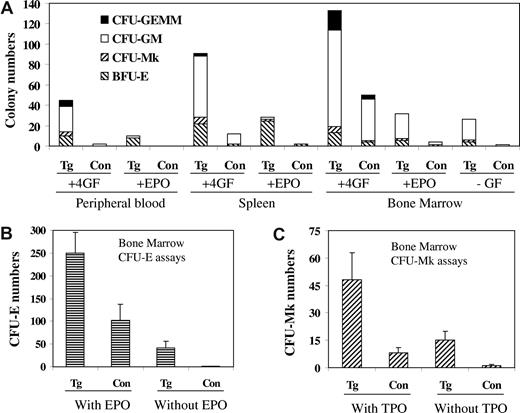 Figure 6. JAK2V617F transgenic mice have markedly increased progenitor cells numbers and form autonomous hematopoietic colonies. Progenitor cell assays were carried out in MethoCult methylcellulose media in the presence or absence of Epo alone or a 4-growth factor/cytokine cocktail (mSCF, mIL-3, hIL-6, hEpo; A,B) or in MegaCult-C collagen-based media supplemented 10 ng/mL rm IL-3 and 20 ng/mL rh IL-6 with or without 50 ng/mL rh Tpo (C). Nucleated cells from peripheral blood (105), spleen (105), and bone marrow (2 × 104 for A, 105 for B and C) of control and transgenic line A mice were seeded, and colonies were scored after culture for 10 (A), 2 (B), and 7 (C) days. Data represent at least 3 independent experiments.