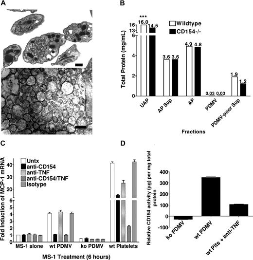 Figure 2. Characterization of PDMVs. PDMVs were isolated and visualized by TEM and analyzed for total protein. (A) TEM images of whole platelets (top) and PDMV (bottom). Bar represents 100 nm. (B) Total protein analysis was performed on 5 × 108 unactivated platelets (UAP) and activated platelets (AP); and activated platelet supernatant (AP Sup), PDMV pellet (PDMV), and PDMV-poor supernatant (PDMV-poor Sup) made from 5 × 108 platelets. ***Total protein values (mg/mL) above each bar. (C) 105 MS-1 cells were plated in each well of a 24-well plate and allowed to grow to near confluence over 2 days. PDMVs from 4.5 × 108 CD154 wt or ko platelets, or 108 platelets were added to each well; 10 μg/mL of anti-CD154 and/or anti-TNF-α antibodies added to designated wells. The experiment was performed in triplicate. (D) Quantitative real-time PCR was performed using purchased primers for MCP-1 and 18S mRNA. Standard curve ranged from 10 μg/mL to 4.9 ng/mL.