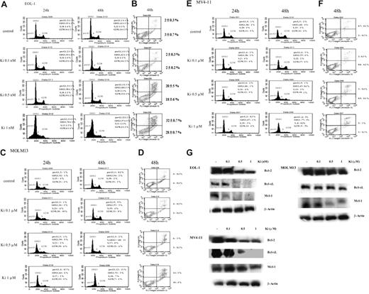 Figure 3. Ki11502 induces G0/G1 cell-cycle arrest and apoptosis of leukemia cells. (A,C,E) Cell-cycle analysis. EOL-1 (A), MOLM13 (C), or MV4–11 (E) cells (5 × 105/mL) were plated in 6-well plates and cultured with Ki11502. After 24 or 48 hours, cells were harvested and cell-cycle distribution was analyzed by FACScan. The numerical results represent the mean of triplicate plates, and a representative experiment is shown. (B,D,F) Annexin V binding. EOL-1 (A), MOLM13 (C), or MV4–11 (E) cells (5 × 105/mL) were plated in 24-well plates and cultured with various concentrations of Ki11502. After 48 hours, cells were harvested and stained for annexin V and propidium iodide (PI), and cells were analyzed by FACScan. Lower left quadrants: viable cells. Lower right quadrants: early apoptotic cells (annexin V+, PI−). Upper right quadrants: nonviable, late apoptotic/necrotic cells (annexin V and PI+). The numerical results represent the mean of triplicate plates, and a representative experiment is shown. (G) Western blot analysis. EOL-1, MV4-11, and MOLM13 cells were cultured with various concentrations of Ki11502 (0.1-1 nM for EOL-1 and 0.1-1 μM for MV4-11 as well as MOLM13). After 48 hours, cells were harvested, and proteins were extracted and subjected to Western blot analysis. The membranes were sequentially probed with anti–Bcl-2, Bcl-xL, Mcl-1, and anti–β-actin antibodies. Results represent one of the 3 experiments performed independently, each giving similar results.