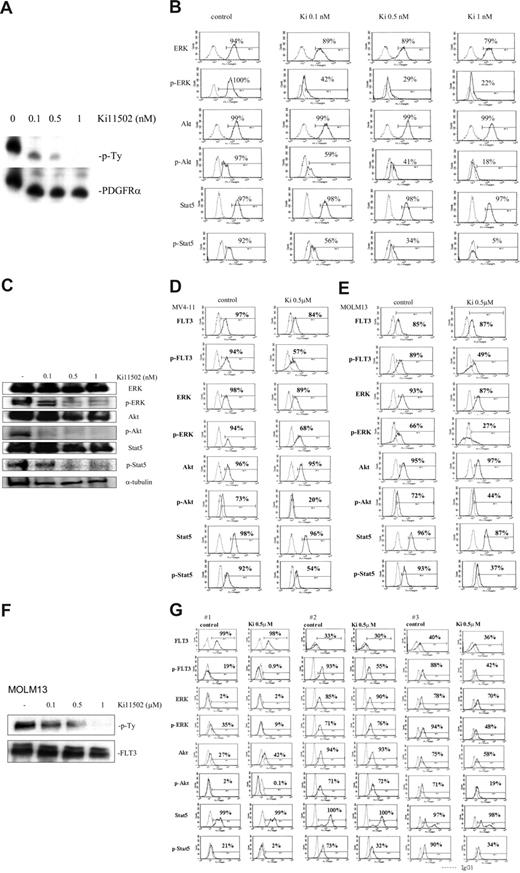 Figure 4. Ki11502 inhibits RTK and its downstream signal pathways. (A,F) Coimmunoprecipitation. EOL-1 (A) or MOLM13 (F) cells were cultured with various concentrations of Ki11502 (0.1-1 nM for EOL-1 and 0.1-1 μM for MOLM13). After 3 hours, cells were harvested and proteins were extracted. The PDGFRα or FLT3 protein was immunoprecipitated and subjected to Western blot analyses. The membrane was probed sequentially with an antiphosphotyrosine antibody (top) and an anti-PDGFRα or FLT3 (bottom). p-Ty, phosphotyrosine. (B) Analysis of ERK, Akt, and STAT5 in EOL-1 cells by FACS. EOL-1 cells were cultured with Ki11502 (0.1-1 nM) or control diluent. After 3 hours, cells were harvested, incubated with the indicated antibodies for 30 minutes at room temperature, and analyzed by flow cytometry. Results are representative of 3 experiments performed in duplicate plates. The positive population was quantified using the CellQuest software package. (C) Western blot analysis. EOL-1 cells were cultured with various concentrations of Ki11502 (0.1-1 nM). After 3 hours, cells were harvested, and proteins were extracted and subjected to Western blot analysis. The membranes were sequentially probed with the indicated antibodies. Results represent one of the 3 experiments performed independently, each giving similar results. (D,E,G) Analysis of FLT3, ERK, Akt, and STAT5 in MV4-11, MOLM13, and freshly isolated leukemia cells by FACS. MV4-11 (D), MOLM13 (E), and freshly isolated leukemia cells from patients (G, cases 1-3, Table 3) were cultured with either Ki11502 (0.5 μM) or control diluent. After 3 hours, cells were harvested, incubated with the indicated antibodies for 30 minutes at room temperature, and analyzed by flow cytometry. Results are representative of 3 experiments performed in duplicate plates.