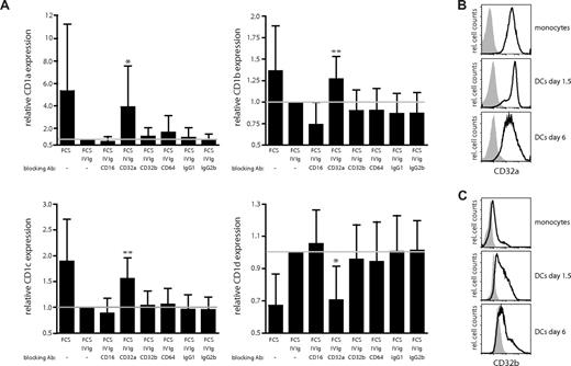 Figure 6. Blocking of the activating Fcγ receptor CD32a abrogates the IVIg-mediated regulation of CD1 expression on dendritic cells. The effect of blocking the Fcγ receptors CD16, CD32a, CD32b, and CD64 using 2 μg/mL of each antibody (in the presence of 0.5 mg/mL IVIg) on CD1 expression on DCs was determined. The graphs show the relative MFI expression of CD1a, CD1b, CD1c, and CD1d cell surface expression (± standard deviation) from 9 individual donors after 6 days of culture (A). The reference line indicates the relative CD1 expression on DCs cultured in FCS and IVIg. The statistical difference between the CD1 expression on DCs grown in FCS and IVIg and DCs cultured in FCS, IVIg, and blocking FcγR antibodies was determined by paired t test or signed rank test if normality test failed. The surface expression of the activating Fcγ receptor CD32a (B) and the inhibitory Fcγ receptor CD32b (C) on CD14+ monocytes and on DCs cultured in IL-4, GM-CSF, and FCS for the indicated times was determined by flow cytometry. The histograms show the CD32 expression in black and the isotype control in gray. Statistical differences were considered significant when P < .05; *P < .05 and **P < .01.