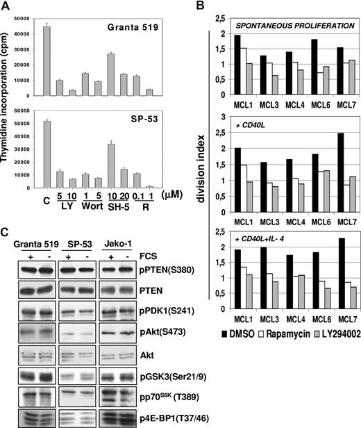 Figure 1. Constitutive activation of P13-K/Akt and mTOR pathways promotes MCL cells proliferation. (A) Inhibition of PI3-K/Akt and mTOR pathways strongly reduces the proliferation of MCL cell lines. Granta 519 and SP-53 cells were cultured at 105/mL in DMEM and RPMI, respectively, supplemented with 10% FCS for 24 hours with either solvent alone (“C”), LY294002 (“LY”) at 5 or 10 μM, wortmannin (“Wort”) at 1 or 5 μM, SH-5 at 10 or 20 μM, or rapamycin (“R”) at 0.1 or 1 μM. DNA synthesis was assessed by 3H-thymidine incorporation after 6 hours. Results were expressed as mean (± SD) counts per minute of quadruplicate wells. (B) Antiproliferative effects of PI3-K and TORC1 inhibition in primary MCL cultures. Effects of PI3-K or TORC-1 inhibition on the division index of 5 primary MCL cultures were evaluated by CFDA-SE labeling coupled with cyclin D1 staining. The results are relative to a 3-day culture period. Globally, cultures treated with LY294002 (10 μM) or rapamycin (0.1 μM) showed a significantly lower division index compared with controls. Effects of LY294002 (10 μM) and rapamycin (0.1 μM) were also investigated in the same primary MCL cultures stimulated by rhsCD40-L alone or in combination with IL-4, showing that PI3-K or TORC-1 inhibition also significantly decreased the division index in the presence of these stimuli. (C) The PI3K/Akt and mTOR/p70S6K pathways are constitutively activated in MCL cell lines. Granta 519, SP-53, and Jeko-1 cells were cultured in medium with 10% FCS or medium with 0.5% bovine serum albumin (BSA) for 24 hours. Total-cell lysates, corresponding to 100 μg of proteins, were subjected to immunoblotting analysis using phosphospecific antibodies.
