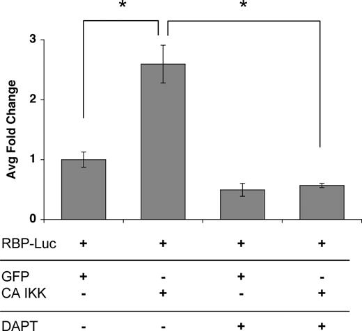 Figure 6. Activation of the NFκB pathway induces a notch signal in neighboring cells. ECs were transfected with an expression plasmid for CA-IKKβ, and induction of jagged was confirmed by FACS (data not shown). Cells were then cocultured with ECs transfected with the notch reporter plasmid RBP-Luc, in the presence or absence of the notch signaling inhibitor DAPT (gamma-secretase inhibitor). Cells were harvested at 18 hours for assay of luciferase activity. Mean and SD is shown. *P < .01 by Student t test. One of 2 similar experiments.