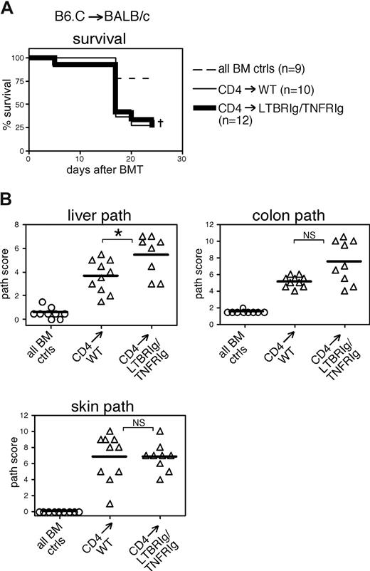 Figure 4. LN and PP deficient LTβRIg/TNFRIg-treated recipients develop GVHD. LN- and PP-deficient BALB/c recipients were created by treating pregnant mothers with LTβRIg and TNFRIg. On day 0, WT or LN/PP-deficient (LTβRIg/TNFRIg) recipients received 750 cGy and 9 × 106 BM cells with or without 1.3 × 106 CD4+CD25− cells from B6.C donors. (A) Survival curve. †P < .05 for BM controls versus CD4→WT or CD4→LTBRIg/TNFRIg. Two BM control mice were killed at day 17 because of extensive weight loss (> 30% of original weight), but there was no histologic evidence of GVHD in these animals. (B) Liver, colon, and skin histopathology. P < .05 for BM controls versus CD4→WT or CD4→LTβRIg/TNFRIg for all analyses; *P < .05 for CD4→WT versus CD4→LTβRIg/TNFRIg. NS indicates not significant for CD4→WT versus CD4→LTβRIg/TNFRIg.