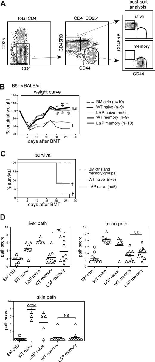Figure 5. Memory cells constitutively expressing CD62L do not cause severe GVHD. (A) Sorting strategy. MACs-purified CD4+CD25− cells (left panel) were subsequently sorted into TN and TEM fractions based on CD45RB and CD44 expression according to the indicated gates; postsort analysis in rightmost panels. Sort of LΔP cells is shown; sorting parameters for WT and LΔP cells were identical. (B-D) On day 0, BALB/c recipients received 800 cGy and 107 BM cells from CD45.1 B6 donors with or without 3 × 105 naive or memory cells from WT B6 or LΔP (B6) donors. (B) Weight curve. †P < .05 for BM controls versus WT naive or LΔP naive for all days 10 and later; @P < .05 for BM controls versus LΔP memory for all days 20 and later. *P < .05 for BM controls versus WT memory at day 23 only. (C) Survival curve. †P < .01 for BM controls versus WT naive or versus LΔP naive. (D) Liver, colon, and skin histopathology. P < .05 for BM controls versus WT naive or LΔP naive for all analyses; NS indicates not significant for WT memory versus LΔP memory.