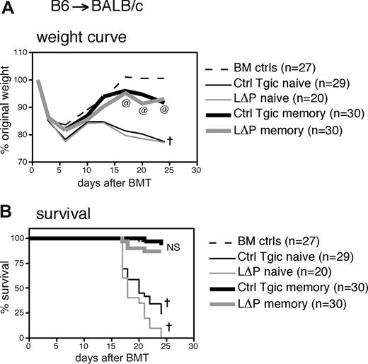Figure 6. Memory cells constitutively expressing CD62L do not cause severe GVHD. On day 0, BALB/c recipients received 800 cGy and 107 BM cells from CD45.1 B6 donors with or without 3 × 105 naive or memory cells from control transgenic (metalloproteinase site intact, Ctrl Tgic) or LΔP donors. Shown are combined data from 3 experiments with sort-purified cells as described in the Figure 5 legend. (A) Weight curve. †P < .05 for BM controls versus Ctrl Tgic naive or LΔP naive for all days 6 and later; @P < .05 for BM controls versus Ctrl Tgic memory or LΔP memory for all days 17 and later. (B) Survival curve. NS indicates not significant for BM controls versus WT memory or LΔP memory and for WT memory versus LΔP memory; †P < .0001 for BM controls versus Ctrl Tgic naive or LΔP naive.