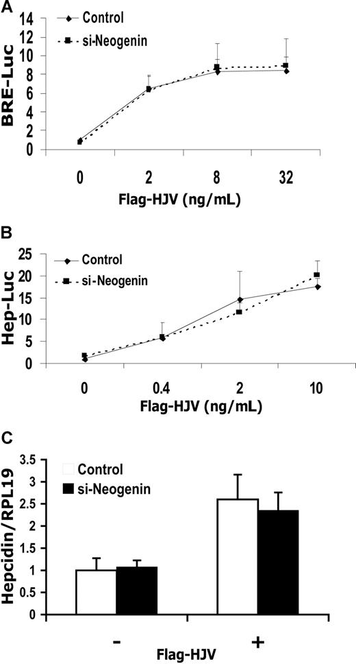 Figure 5. HJV-mediated BMP signaling and hepcidin expression are not altered by inhibition of endogenous neogenin expression in Hep3B cells. (A,B) Hep3B cells were transfected with BRE-Luc (A) or Hep-Luc (B) and pRL-TK Renilla luciferase vector, either alone or with increasing amounts of Flag-HJV cDNA, in combination with control siRNA or neogenin siRNA. After 46 hours, cell lysates were analyzed for luciferase activity as in Figure 1B-F. (C) Hep3B cells were transfected with empty vector (pcDNA3) or Flag-HJV cDNA in combination with control siRNA or si-neogenin. After 46 hours, hepcidin relative to RPL19 mRNA levels were quantified by real-time RT-PCR as in Figure 1G,H. Values shown are the means of triplicate measurements plus or minus SD.