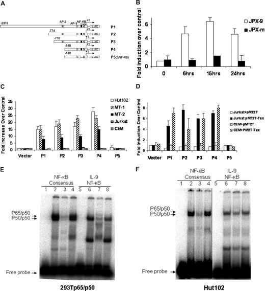 Figure 3. Activation of the IL-9 promoter was mediated by NF-κB and the IL-9 NF-κB motif ATGTCAGGGTTTTTCCGTGTTTG bond to NK-κB in the gel shift assay. (A) Schematic representation of the IL-9 luciferase reporter constructs P1, P2, P3, P4, and P5 (ΔNF-κB). (B) IL-9 luciferase reporter construct P1 (10 μg) and CMV-Renilla (1 μg) were transfected into JPX-9 and JPX-m cells. The Tax expression was induced by addition of CdCl2, and the promoter activities were assayed at different time points after CdCl2 addition. The promoter activities were normalized by the Renilla value. The results are representative of 3 independent experiments. (C) 10 μg of the IL-9 luciferase construct and 1 μg CMV-Renilla were transfected into Tax expressing Hut102, MT-1, MT-2, and Tax nonexpressing Jurkat, CEM cells by electroporation. Dual-luciferase assays were performed 48 hours later. Normalized results using Renilla values are representative of 3 independent experiments. Experimental variations are indicated by SE bars. (D) The IL-9 luciferase constructs were transfected into Jurkart and CEM T cells in the absence (pMT2T, empty vector) or in the presence of 10 μg of the Tax expression construct pMT2T-Tax by electroporation. Dual-luciferase assays were performed following the manufacturer's recommendations. The data are representative of 3 independent experiments. (E) Gel shift assay. Extracts obtained from 293T cells transfected with p65 and p50 expression constructs were used for the binding of cNF-κB AGTTTGAGGGGACTTTCCCAGGC and IL-9 NF-κB ATGTCAGGGTTTTTCCGTGTTTG (the underlined sequences are the NF-κB binding sites). The typical p50/p65 heterodimer and p50/p50 homodimer can be readily seen with cNF-κB, whereas IL-9 NF-κB forms a complex that comigrates with the p50/p50 homodimer of the cNF-κB, as shown by an arrow (lanes 2, 6). The binding of cNF-κB to p50/p65 and p50/p50 complexes can be competed off specifically by addition of a 50-fold molar excess of unlabeled IL-9 NF-κB probe (lane 3) but was not affected by addition of a 50-fold molar excess of unlabeled nonspecific SP1 probe (lane 4). Similarly, the binding of IL-9 NF-κB to the p50/p50 complex was specifically competed off by addition of a 50-fold molar excess of unlabeled cNF-κB probe (lane 7) and was not affected by addition of a 50-fold molar excess of unlabeled nonspecific SP1 probe (lane 8). Lanes 1 and 5 represent the negative controls. (F) Gel shift assay. Nuclear extracts from the HTLV-I–positive cell line Hut102 were used for the binding of cNF-κB and IL-9 NF-κB. The patterns of cNF-κB and IL-9 NF-κB binding are very similar to panel E. A vertical line has been inserted to indicate a reposition of gel lanes.