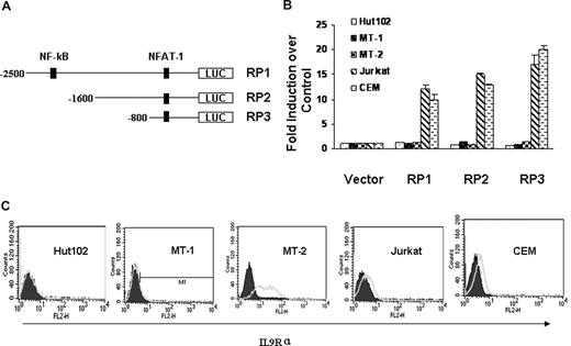 Figure 4. HTLV-I Tax did not transactivate IL-9Rα. (A) Schematic representation of IL-9Rα promoter constructs RP1, RP2, and RP3. (B) IL-9Rα promoter assay in HTLV-I–positive Hut102, MT-1, MT-2 cells and HTLV-I–negative Jurkat, CEM cells. The promoter activities were normalized by comparison to the Renilla value. The results are representative of 3 independent experiments. (C) FACS analysis of surface expression of IL-9Rα on HTLV-I-positive Hut102, MT-1, MT-2 cells and HTLV-I–negative Jurkat and CEM cells. PE-conjugated mouse IgG2b was used as the control.