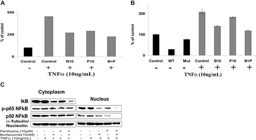 Figure 2. Perifosine and bortezomib inhibit NF-κB function in WM cells. (A) Chromatin immunoprecipitation (ChIP)-based assay. BCWM.1 cells were cultured with either perifosine (P, 10 μM), bortezomib (B, 10 nM), or the combination (B + P) overnight, then TNFα (10 ng/mL) was added for the last 30 minutes, and then anti–p65NF-κB immunoprecipitation was performed. Quantitative real-time PCR (Q-PCR) for IκB in the p65NF-κB-DNA immunoprecipitated fragments was assessed using SYBR. Experimental Q-PCR values were normalized against values obtained for 25 ng of input DNA with the same primer set. (B) NF-κB activity assay using Active Motif. BCWM.1 cells were cultured with either perifosine (10 μM), bortezomib (10 nM), or the combination for 6 hours, and then TNFα (10 ng/mL) was added for the last 30 minutes. NF-κBp65 transcription factor-binding to its consensus sequence on the plate-bound oligonucleotide was studied from nuclear extracts. WT and Mut are wild-type and mutated consensus competitor oligonucleotides, respectively. Data represent mean plus or minus SD of triplicate experiments. (C) BCWM.1 cells were cultured with either perifosine (10 μM), bortezomib (10 nM), or the combination for 6 hours, then TNFα (10 ng/mL) was added for the last 30 minutes, and then the effect on NF-κB pathway was studied using immunobloting on cell fractionation. Cytoplasmic and nuclear fractions were subjected to Western blotting using anti-IκBα, –NF-κBp50, –p-NF-κBp65, -nucleolin, and –α-tubulin antibodies.