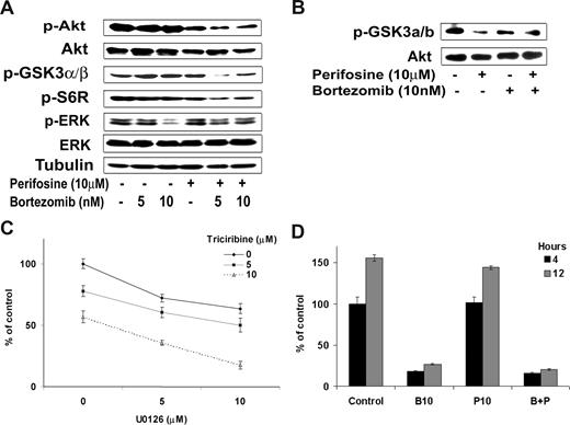 Figure 4. Differential targeting of perifosine and bortezomib on Akt, Erk, and proteasome pathways. (A) BCWM.1 cells were cultured with the combination perifosine (10 μM) and bortezomib (10 nM) for 6 hours and rituximab (10 ng/mL) in the last hour, and then the effect on Akt and ERK MAPK pathways was assessed by immunobloting. Whole cell lysates were subjected to Western blotting using anti–p-Akt, -Akt, –p-GSK3α/β-p-S6R, -ERK1/2, –p-ERK, and –α-tubulin antibodies. (B) BCWM.1 cells were cultured with the combination perifosine (10 μM) and bortezomib (10 nM) for 6 hours, and then whole cell lysates were immunoprecipitated overnight with anti-Akt antibody. Then the immunoprecipitates were subjected to in vitro kinase assay according to manufacturer's protocol. Western blotting used -Akt and fusion protein -p-GSK3α/β antibodies. (C) BCWM.1 cells were cultured with either triciribine (5 μM and 10 μM), U0126 (5 nM and 10 μM), or the combination. Cytotoxicity was assessed using MTT assay. (D) 20S proteasome activity assay. BCWM.1 cells were cultured with either perifosine (10 μM), bortezomib (10 nM), or the combination for 4 and 12 hours, and then whole cell lysates were subjected to proteasome activity measurement. Data represent mean plus or minus SD of triplicate experiments.