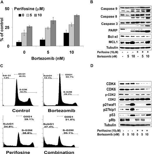Figure 6. Perifosine and bortezomib-induced apoptosis and cell-cycle arrest were measured in WM cells. (A) BCWM.1 cells were cultured with either perifosine (5 μM and 10 μM), bortezomib (5 nM and 10 nM), and the combination for 48 hours. Then the percentage of cells undergoing apoptosis was studied using Apo2.7 staining and flow cytometry. (B) BCWM.1 cells were cultured with either perifosine (10 μM), bortezomib (5 nM and 10 nM), or the combination for 10 hours. Whole cell lysates were subjected to Western blotting using anticaspase 9, -caspase 8, -caspase 3, -PARP, -MCL1, Bcl-xl, and –α-tubulin antibodies. (C) Cell cycle was then studied using PI staining by flow cytometry. BCWM.1 cells were cultured with either perifosine (10 μM), bortezomib (10 nM), or the combination for 24 hours. Percentages indicate cells in sub-G1 phase, G0/G1 phase, and G2/M phase. (D) BCWM.1 cells were cultured with either perifosine (10 μM), bortezomib (5 nM and 10 nM), or the combination for 12 hours. Whole cell lysates were subjecting to Western blotting using anti-CDK4, -CDK6, -CDK2, -p-CDK2, -p27kip1, -p21Waf1/Cip1, -p53, -p-Rb, and –α-tubulin antibodies. Data represent mean plus or minus SD of triplicate experiment (A,C).