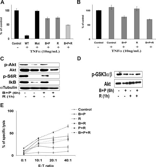 Figure 7. The combination of perifosine with bortezomib-induced cytotoxicity is enhanced in combination with the anti-CD20 monoclonal antibody, rituximab. (A,B) BCWM.1 cells were cultured with the combination of perifosine (10 μM) and bortezomib (10 nM) for 4 to 6 hours and with rituximab (10 μg/mL) during the last hour. (A) NF-κB activity assay using Active Motif. NF-κBp65 transcription factor-binding to its consensus sequence on the plate-bound oligonucleotide was studied from nuclear extracts. WT and Mut are wild-type and mutated consensus competitor oligonucleotides, respectively. (B) Relative quantitative PCR of IκB gene. (C) Whole cell lysates were subjected to Western blotting using anti–p-Akt, -Akt, –p-S6R, and –α-tubulin antibodies. (D) BCWM.1 cells were treated similarly to that in panel A, and then whole cell lysates were immunoprecipitated overnight with anti-Akt antibody. Then the immunoprecipitates were subjected to in vitro kinase assay according to the manufacturer's protocol. Western blotting used -Akt and fusion protein -p-GSK3α/β antibodies. (E) Antibody-dependent cell-mediated cytotoxicity assay (ADCC). BCWM.1 cells were pretreated with either perifosine (10 μM), bortezomib (10 nM), and the combination overnight then washed then treated with rituximab (10 μg/mL) for 4 hours in the presence of the effector cells. Results are reported in terms of mean percentage of specific lysis characterized by measurement of release of calcein-AM with different effector:target ratios (E/T ratio). Data represent mean plus or minus SD of triplicate experiments (A,B,E).