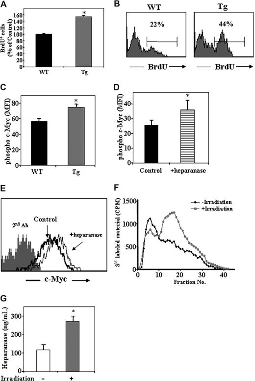 Figure 5. Heparanase is involved in progenitor cell proliferation.(A) BrdU uptake in the primitive c-Kit+/Lin− cells obtained from control WT or hpa-Tg mice, as detected by flow cytometry. Data are means plus or minus SE; n = 4 samples. (B) Representative histogram plot of BrdU+ cells among the c-Kit+/Lin− population obtained from WT or hpa-Tg mice. (C) Phosphorylated c-Myc expression in the primitive cKit+/Lin− BM cells obtained from the BM of WT or hpa-Tg mice. (D) Phosphorylated c-Myc expression in the primitive c-Kit+/Lin− cells following exogenous in vitro treatment with heparanase (compared with control nontreated cells). Data are means plus or minus SE; n = 3 samples. (E) Representative histogram plot of phosphorylated c-Myc expression levels among the primitive c-Kit+/Lin− cells following in vitro treatment with or without exogenous heparanase. (F) Heparanase activity (determined by the ability to degrade sulfate-labeled heparan-sulfate) in lysates of cells collected from the BM of irradiated (24 hours after irradiation) or nonirradiated mice. Data are means plus or minus SE; n = 3 mice. (G) Heparanase levels in BM supernatant of WT and hpa-Tg mice as determined by ELISA. Data are means plus or minus SE; n = 7 mice (*P < .05).