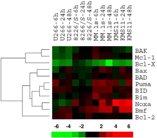 Figure 2. Gene expression profile for ATO-induced changes in the Bcl-2 family. U266, MM.1s, 8226/S, and KMS11 cell lines were treated with 2 μM ATO for 6, 24, and 48 hours. Total RNA was obtained and cRNA was probed on Affymetrix Hu133 2.0 Plus Chips. Signal intensity was used as gene expression. Ratios at 6, 24, and 48 hours versus baseline gene expression were calculated for each probe set and average ratios were obtained for genes. Bcl-2 family member genes were clustered using the bioinformatic programs Cluster and TreeView. The bar at the bottom represents the scale for fold changes.