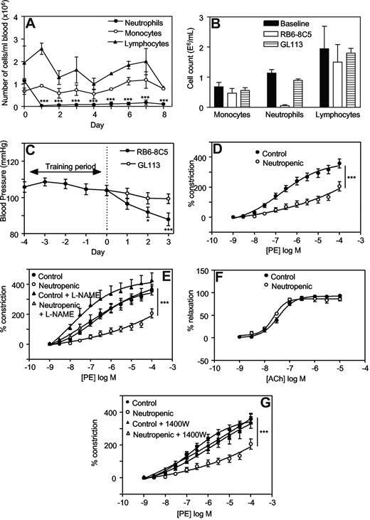 Figure 1. Injection of RB6-8C5 causes specific depletion of neutrophils and decreases blood pressure and vascular tone in Balb/C mice, in an iNOS-dependent manner. (A) Induction of neutropenia following intraperitoneal injection of RB6-8C5. RB6-8C5 was administered by intraperitoneal injection, 150 μg on day 0 and 300 μg on days 2, 4, and 6. Differential counts were performed on whole blood (n = 3, mean ± SEM). ***P < .001 vs day 0 using one-way analysis of variance (ANOVA) and Dunnett posthoc test analysis. (B) Control antibody does not cause neutropenia. Differential counts were performed on whole blood from mice administered either RB6-8C5 or GL113, following 3 days of neutropenia. (C) Depletion of neutrophils causes progressive hypotension. Blood pressures were measured daily by tail-cuff plethysmography, in mice administered either RB6-8C5 or an equal dose of GL113 intraperitoneal (n ≥ 15 for RB6-8C5 and n ≥ 10 for GL113, mean ± SEM). ***P < .001, *P < .05 versus day 0 using one-way ANOVA and Dunnett posthoc test analysis. (D) Thoracic aortae from neutropenic mice display reduced vasoconstriction responses. PE-induced constriction dose-response curves were constructed in thoracic aortae from control mice and mice depleted of neutrophils for 3 days using myography (n ≥ 4, mean ± SEM). ***P < .001 vs control using 2-way ANOVA. (E) L-NAME restores constriction to control levels in aortae from neutropenic mice. Dose-responses curves to PE were determined in thoracic aortae from control mice and mice depleted of neutrophils for 3 days in the presence or absence of 300 μM L-NAME (n ≥ 4, mean ± SEM). ***P < .001, neutropenic plus L-NAME versus neutropenic using 2-way ANOVA. (F) Acetylcholine relaxation is normal in aortae from neutropenic mice. Relaxation dose-response curves to ACh in PE-preconstricted aortae from control and neutropenic mice (day 3) were constructed (n ≥ 4, mean ± SEM). (G) 1400W restores constriction to control levels in aortae from neutropenic mice. PE-induced constriction responses in aortae from control and neutropenic mice (day 3) in the presence or absence of 10 μM 1400W were constructed (n ≥ 4, mean ± SEM). ***P < .001, neutropenic plus 1400W versus neutropenic using 2-way ANOVA.