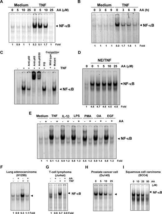 Figure 3. Anacardic acid inhibits TNF-dependent NF-κB activation. (A) Effect of anacardic acid per dose. KBM-5 cells were preincubated with indicated concentrations of anacardic acid for 4 hours, treated with 0.1 nmol/L TNF for 30 minutes, and then subjected to EMSA to test for NF-κB activation. (B) Effect of anacardic acid according to exposure duration. Cells were preincubated with 25 μmol/L anacardic acid for the indicated times, treated with 0.1 nmol/L TNF for 30 minutes, and then subjected to EMSA to test for NF-κB activation. (C) NF-κB induced by TNF is composed of p65 and p50 subunits. Nuclear extracts from untreated or TNF-treated cells were incubated with the indicated antibody, preimmune serum, unlabeled NF-κB oligoprobe, or mutant oligoprobe and then assayed for NF-κB activation by EMSA. (D) The direct effect of anacardic acid on NF-κB complex was investigated. Nuclear extracts were prepared from untreated cells or cells treated with 0.1 nmol/L TNF and incubated for 30 minutes with the indicated concentrations of anacardic acid. They were then assayed for NF-κB activation by EMSA. (E) Anacardic acid blocks NF-κB activation induced by TNF, IL-1β, LPS, PMA, OA, and EGF. KBM-5 cells were preincubated with 25 μmol/L anacardic acid for 4 hours and then treated with 0.1 nmol/L TNF, 100 ng/mL IL-1β, or 10 μg/mL LPS for 30 minutes; 500 nmol/L OA for 4 hours or 25 μg/mL PMA or 100 ng/mL EGF for 2 hours. The cells were then analyzed for NF-κB activation by EMSA. (F-I) Inhibition of NF-κB activation by anacardic acid is not cell type–specific. H1299, Jurkat, Du145, and SCC4 cells were incubated with 25 μmol/L anacardic acid for 4 hours and then incubated with 0.1 nmol/L TNF for 30 minutes. Nuclear extracts were then prepared and assayed for NF-κB activation by EMSA.