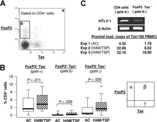Figure 2. FoxP3 expression and Tax expression. (A) Density plot showing Tax and FoxP3 expression in CD4+ cells from a representative AC patient after 18-hour incubation. The dot plot was divided in 2 gates: a indicates total CD4+ cells; b, FoxP3+Tax−CD4+ cells. (B) Percentage of CD4+ cells that express FoxP3 alone (gate α), FoxP3 and Tax (gate β), and Tax alone (gate γ). The P value was calculated by an unpaired t test (2-tailed). This percentage was measured on 28 ACs and 30 HAM/TSP patients. (C) Classic PCR for one AC and quantification of proviral load in 3 independent HTLV-1–seropositive patients. FoxP3+Tax− cells were isolated by cell sorting of the CD4+ population (gate b) and compared with the total CD4+ cell population (gate a). The data were normalized to the level of beta-actin cDNA, and expressed as Tax copy number per 100 PBMCs.