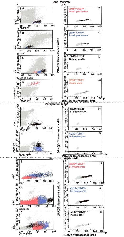 Figure 1. Representative bivariate dot plots illustrating the gating strategy used for the inmunophenotypic identification of each B-cell subpopulation identified and the analysis of their cell-cycle distribution. The strategy used for the identification of B-cell subsets is shown for normal bone marrow (BM; panels A-D), peripheral blood (PB; panels E,F) and reactive lymph node (LN; panels G-I) samples (left columns), together with the strategy used for the analysis of their cell-cycle distribution according to their DNA cell contents (DRAQ5 fluorescence area: panels J-R in the right column). In these dot plots for each B-cell population represented by the corresponding colored label, G0/G1 cells are depicted as grey events while, whenever present (panels J-M and P-R) S+G2/M cells are displayed as black dots.