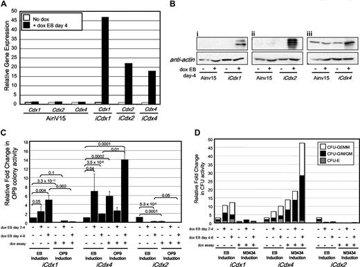 Figure 2. Cdx genes distinctly affect hematopoietic progenitor formation during EB differentiation. (A) Quantitative RT-PCR analysis of inducible Cdx1, Cdx2, and Cdx4 gene expression in differentiating day 4 EBs assessed 8 hours after exposure to 1 μg/mL doxycycline (dox). Expression is presented relative to expression level of each gene in noninduced day 4 EBs harvested at the same time point. Normalization to the housekeeping gene β-actin has been performed for each individual sample. Data are representative of multiple independent experiments.(B) Immunoblot for Cdx1, Cdx2, and Cdx4 protein levels in day 4 iCdx1, iCdx2, or iCdx4 EBs collected 8 hours after exposure to 1 μg/mL doxycycline (+). The multiple bands detected by anti-Cdx2 represent distinct phosphorylation forms.41 Control samples (−) represent EBs of the same ESC line, harvested at the same time point, that have not been exposed to doxycycline. Data are representative of multiple independent experiments. iCdx1, iCdx4, and iCdx2 EBs were exposed to doxycycline during the indicated windows of differentiation, dissociated at day 6 of differentiation, and then plated into secondary assays with or without continued exposure to doxycycline. The effect of Cdx gene induction on OP9 colony forming potential (C) and hematopoietic progenitor potential (D; CFU formation) was assessed. To pool and average data from multiple experiments (each data point denotes between 3 and 8 replicates), the data are presented as fold change in colony potential relative to noninduced control. P values calculated using nonpaired, 2-tailed Student t test are depicted over bars.
