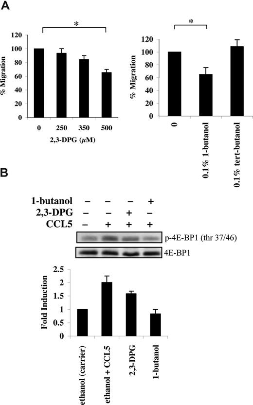 Figure 4. CCL5-mediated PLD activation regulates T-cell migration. (A) Activated PB T cells were pretreated with either ethanol (carrier) or the specified inhibitors for 1 hour at the concentrations indicated, and CCL5-mediated chemotaxis was measured using 10 nM CCL5. The data are presented as percentage migration, with the number of migrated cells at 10 nM CCL5 taken as 100%. Data representative of 3 independent experiments are shown (± SD); *P < .05. (B) T cells were pretreated with either ethanol (carrier), 500 μM 2,3-DPG, or 0.1% 1-butanol for 1 hour prior to 15-minute treatment with 10 nM CCL5. Cells were harvested and lysates resolved by SDS-PAGE and immunoblotted with anti–phospho-4E-BP1 (Thr 37/46) antibody. Blots were stripped and reprobed with anti–4E-BP1 antibody as a loading control. The relative fold increase of 4E-BP1 phosphorylation is shown as signal intensity over loading control. Data are representative of 2 independent experiments.