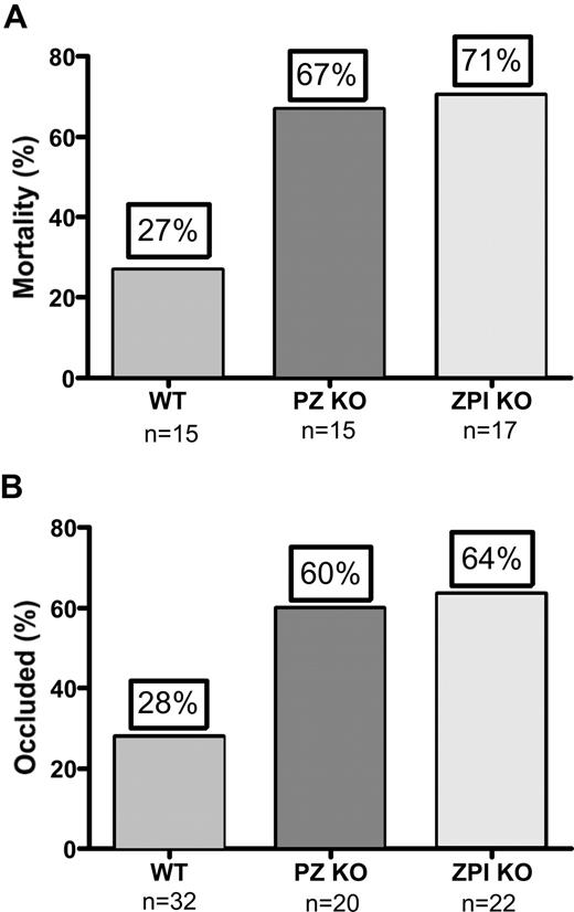Figure 2. PZ and ZPI mice in thrombosis models. (A) Collagen/epinephrine-induced (270 μg/27 μg/kg) mortality from pulmonary thromboembolism with respiratory arrest by 5 minutes. (B) FeCl3-induced (5%) carotid artery occlusion at 40 minutes.