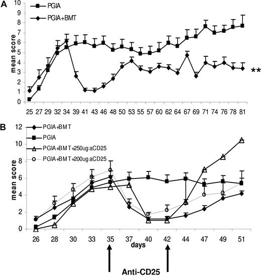 Figure 2. Conditioning followed by autologous bone marrow transplantation leads to a rapid decrease in the severity of arthritis: the clinical effect is reduced by depletion of CD25+ cells. (A) The effect of aBMT in PGIA. Arthritis was induced by 2 injections of PG in DDA on day 0 and day 21. On day 35, mice received a lethal irradiation dose of 7.5 Gy followed by autologous BMT from syngeneic donor animals at the same stage of the disease. Mean arthritis scores are shown (+ SEM; N = 17). (B) The effect of anti-CD25 treatment after aBMT. Following aBMT on day 35, the anti-CD25 mAb PC61 was administered on day 35 and day 42 at 2 different doses: 250 μg (N = 2) or 200 μg (N = 6). Mean arthritis scores are shown (+ SEM).