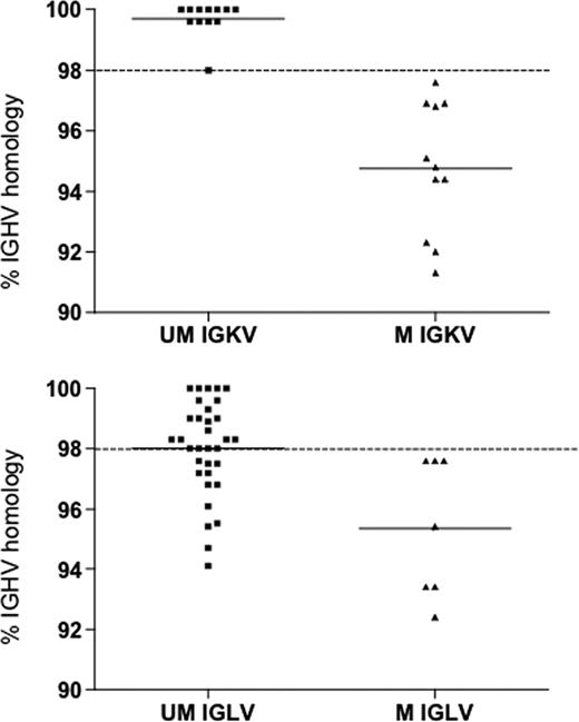 Figure 2. Comparison of the heavy chain mutational status in IGHV3-21 expressing IGKV or IGLV genes. The lines indicate the mean percent of IGHV homology in the UM IGKV or IGLV (mean percentage IGHV homology, 99.7% and 98%, respectively) and in the M IGKV or IGLV (mean percentage IGHV homology, 94.8% and 95.3%, respectively).