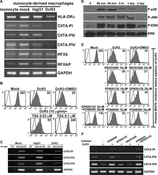 Figure 2. Histone deacetylation of CIITA promoters by DcR3 occurs via activation of JNK and ERK. (A) Expression of RFX factors and CIITA in MDMs. cDNAs were prepared from MDMs treated with either mock (medium only), hIgG1, or DcR3 for 6 days and the expression of mRNAs corresponding to HLA-DR, RFX5, RFXAP, and the 3 CIITA isoforms was examined by RT-PCR analysis. (B) Effects of trichostatin A (TSA) on the expression of HLA-DR. MDMs were pretreated with TSA for 30 minutes, followed by DcR3 treatment for 6 days. Expression of HLA-DR was examined by flow cytometry with allophycocyanin-conjugated anti–HLA-DR mAb. The open histogram represents isotype control, and the shaded histogram corresponds to specific staining. (C) Effect of DcR3 on the acetylation of H3 associated with CIITA promoters. ChIP was performed with antibodies specific for acetylated histone H3 (AcH3). The immunoprecipitates were analyzed by PCR to determine the presence of the regulatory region of the CIITA genes. The proximal promoter of the GAPDH was amplified as an internal control. (D) Kinetics of MAPK activation after DcR3 treatment. Cell lysates were collected at the indicated time points after DcR3 treatment to examine the activation status of ERK, JNK, and p38 using antibodies specific for the phosphorylated form of each MAPK. (E) Effects of MAPK inhibitors on the expression of HLA-DR. Macrophages were pretreated with SP600125, SB203580, and PD98059 for 30 minutes, followed by DcR3 treatment for 6 days. Expression of HLA-DR in MDMs was determined by flow cytometry with allophycocyanin-conjugated anti–HLA-DR mAb. Open histograms represent isotype control and shaded histograms correspond to specific staining. (F) Effects of MAPK inhibitors on the acetylation of H3 associated with CIITA promoters. MDMs were prepared as in panel E, and chromatin was immunoprecipitated with antibodies specific for AcH3; this was followed by PCR to determine the presence of the CIITA regulatory regions. The proximal promoter of the GAPDH was amplified as an internal control.