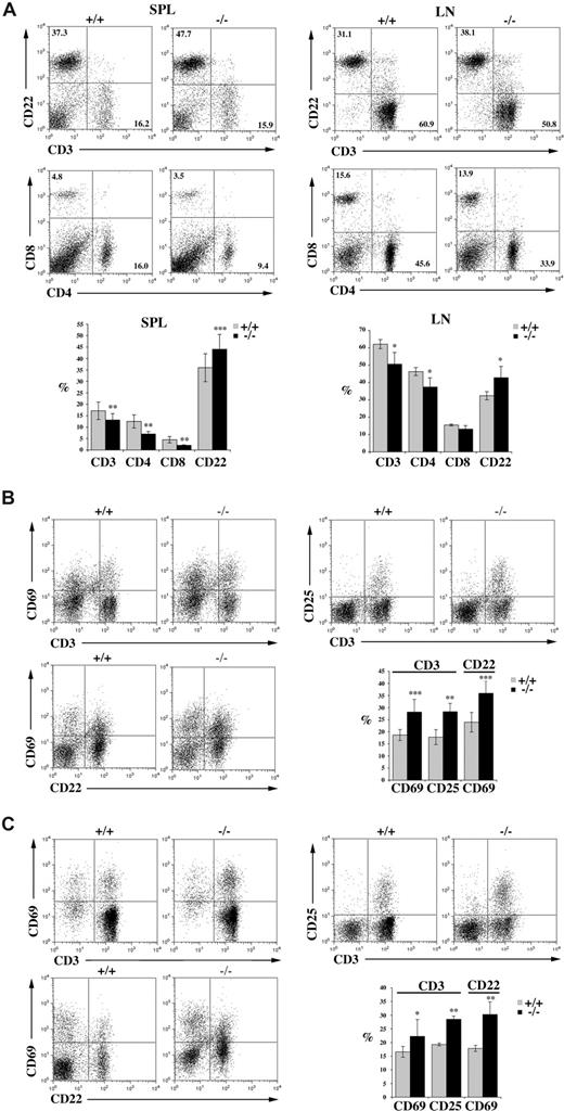 Figure 2. Spontaneous peripheral lymphocyte activation in p66Shc−/− mice. Flow cytometric analysis of untreated lymphocytes from spleen and lymph nodes from 12-month-old control (+/+, gray) or p66Shc−/− (−/−, black) mice stained with the indicated cells surface markers. (A, top) Representative fluorescence-activated cell sorting (FACS) profiles of CD3/CD22 and CD4/CD8 labeling of lymphocytes from spleen (left) and lymph nodes (right). The percentage of cells that falls into the indicated quadrants is indicated. (Bottom) Histograms displaying the mean values (± SD) are shown below. For each sample, fluorescence was analyzed on gated cells with forward and side light scatter properties of lymphocytes (n ≥ 6). (B,C) Representative FACS profiles of CD3/CD69, CD3/CD25, and CD22/CD69 labeling of lymphocytes from spleen (B) and lymph nodes (C). Histograms show the percentage (mean values ± SD) of CD69+ or CD25+ T cells and of CD69+ B cells (n ≥ 6; *P < .05; **P < .01; ***P < .001).