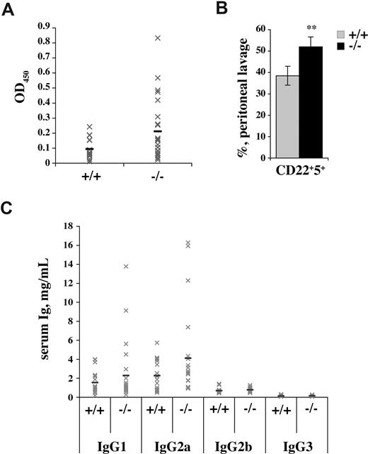 Figure 5. Autoimmune features in p66Shc−/− mice. (A) Autoantibody production in p66Shc−/− mice. Sera from 12-month-old control (+/+) or p66Shc−/− (−/−) mice were analyzed by ELISA for detection of anti-dsDNA antibody titers. Gray crosses show OD450 for each mouse analyzed, while the black lines indicate the mean values (n ≥ 16). (B) p66Shc−/− mice have increased levels of B1 cells in the peritoneal cavity. Peritoneal lymphoid cells were stained with anti-CD22/anti-CD5 fluorochrome-conjugated mAb. The bar graph shows the percentage ± SD of CD22+CD5+ cells in peritoneal lavages of control (gray) and p66Shc−/− mice (black) (n ≥ 4; **P < .01). (C) Elevated serum IgG1 and IgG2a in p66Shc−/− mice. Levels of IgG isotypes in the serum from 12-month-old wild-type (+/+) and p66Shc-deficient (−/−) mice were measured by ELISA. Gray crosses show IgG concentration (mg/mL) for each mouse analyzed, while the black lines indicated the mean values (n ≥ 20).