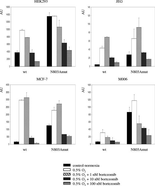 Figure 1. Dose-dependent effect of bortezomib on activity of the wild-type and N803A mutant HIF-1α CAD in various cell lines. The Gal4− HIF-1α CAD constructs were cotransfected with a Gal4 reporter plasmid pFR-Luc (Stratagene, La Jolla, CA) using Effectene transfection reagent (QIAGEN, Valencia, CA). After exposure to the transfection mixture for 16 hours, the cells were trypsinized, replated, allowed to adhere for 5 hours, pretreated with bortezomib for 30 minutes, and exposed to normoxia or 0.5% O2 hypoxia (in the presence of bortezomib) for 24 hours. Activities are expressed as the ratio of luciferase activity/protein concentration in arbitrary units (AU) and each of the bars represents the mean value (± SD) from 3 independent experiments.