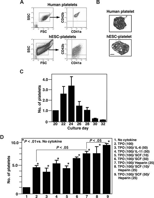 Figure 5. Characterization of platelets from hESCs. (A) Surface markers of hESC-derived platelets were examined by flow cytometry using the same forward- and side-scatter gates used for human plasma-derived adult platelets. Most small particles positive for CD41a (x-axis) were also positive for CD42b (y-axis; lower panel). (B) Transmission electron micrographs of fresh plasma-derived platelets or of hESC-derived platelets on day 23. Bar represents 1μm. (C) Numbers of platelets released into the culture supernatant from day 20 to day 32. The graph shows the relative number when the total number on day 20 per initial 105 hESCs was assigned a value of 1.0. Platelets were collected every other day from culture days 20 to 32, and the cells were counted by flow cytometry using True Count Beads. Data are means (± SD) from 3 independent experiments. (D) Numbers of CD41a+ platelets counted in the absence or presence of TPO (100 ng/mL) alone and in combination with SCF (25 or 50 ng/mL), IL-6 (50 mg/mL), IL-11 (50 mg/mL), and/or heparin (25 U/mL). The graph shows the relative platelet number when the total number of platelets yielded without cytokine was assigned a value of 1.0. Data are means (± SD) from more than 3 independent experiments.